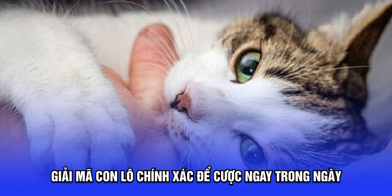 Giải mã con lô chính xác để cược ngay trong ngày