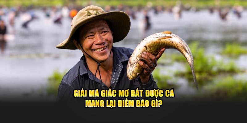 Giải mã giấc mơ bắt được cá mang lại điềm báo gì?