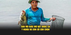 Giải mã giấc mơ bắt được cá