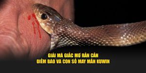 Giải mã giấc mơ rắn cắn