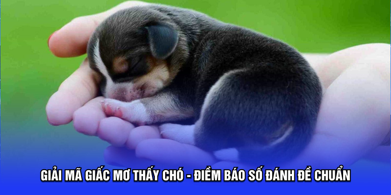 Giải mã giấc mơ thấy chó