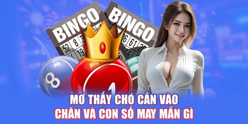 Mơ thấy chó cắn vào chân và con số may mắn gì