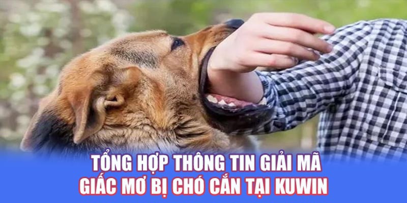 Giải mã giấc mơ bị chó cắn