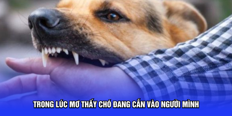 Trong lúc mơ thấy chó đang cắn vào người mình