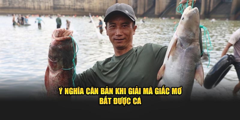 Ý nghĩa căn bản khi giải mã giấc mơ bắt được cá